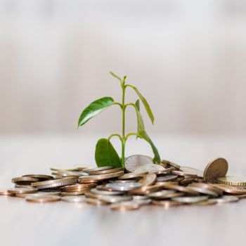 2025 Money Horoscope Report